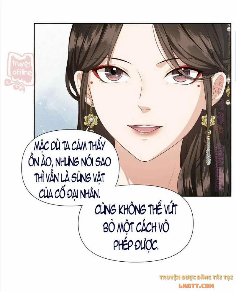 Đào Hoa Chiếu Ngọc Án 24 trang 12