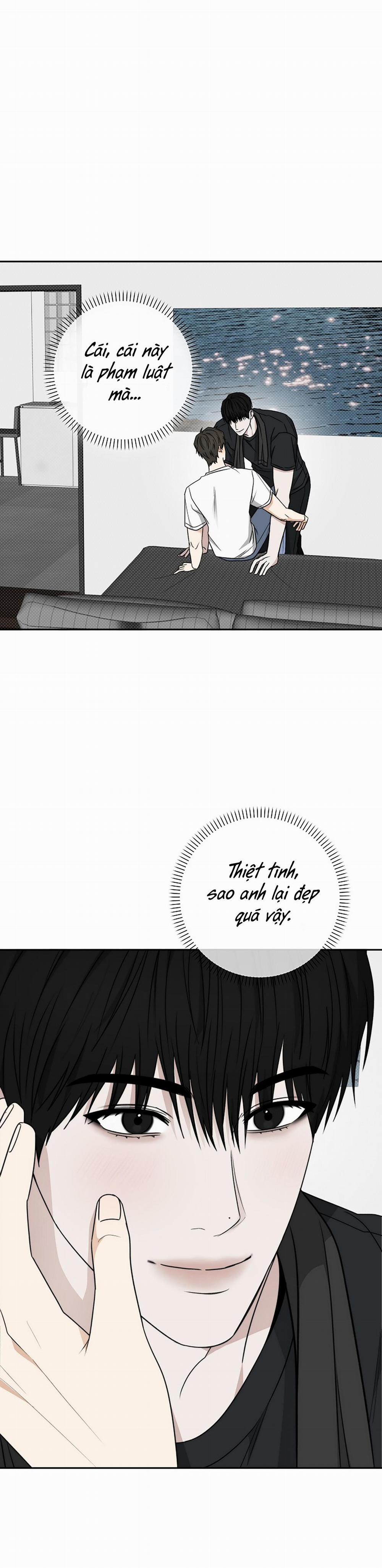 Dấu ấn 31 trang 14