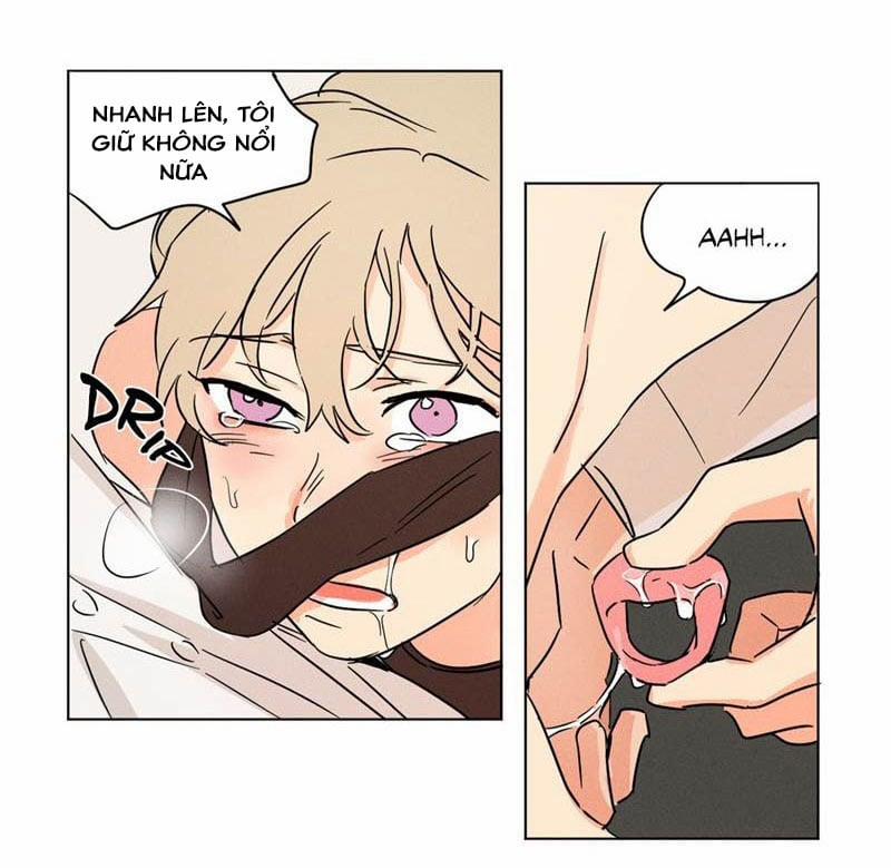 Dấu Chấm Cho Cả Ba 10 trang 38