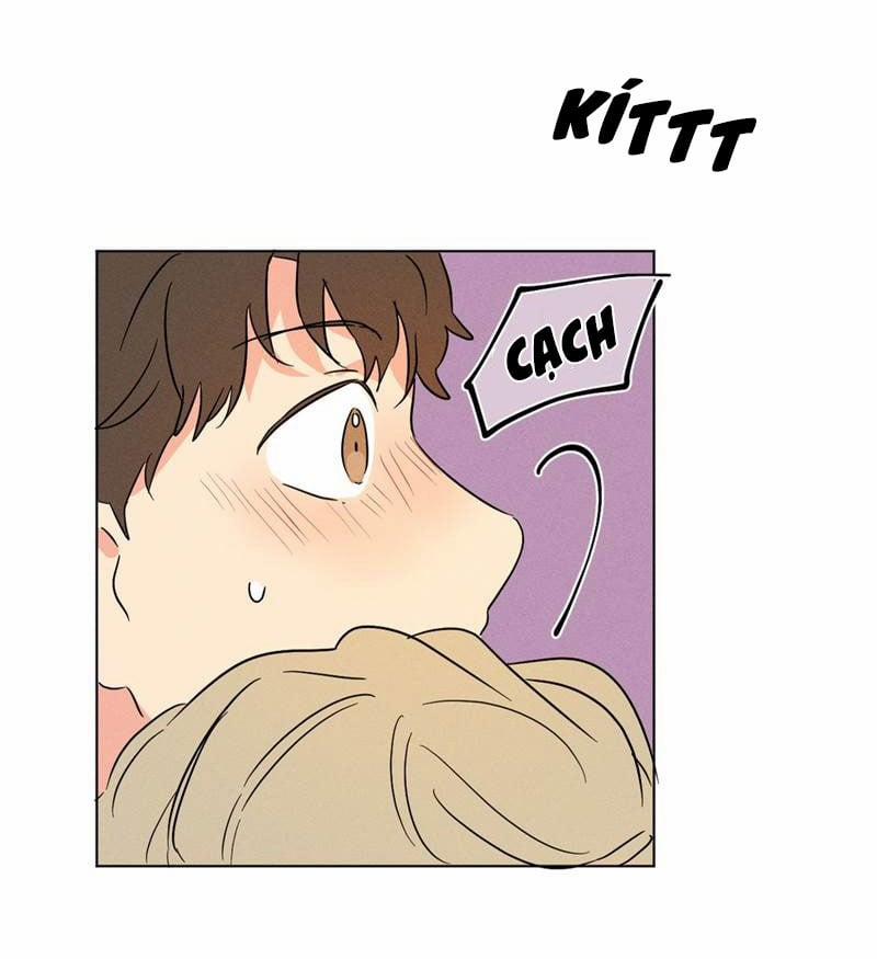 Dấu Chấm Cho Cả Ba 10 trang 49