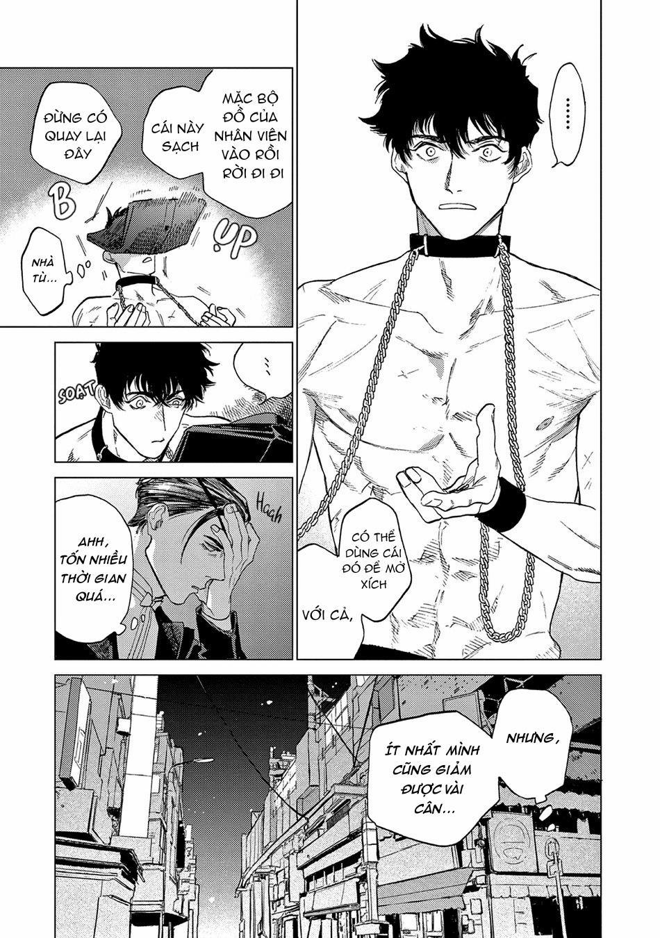 Đấu Giá Hikari Tokyo 1 trang 13