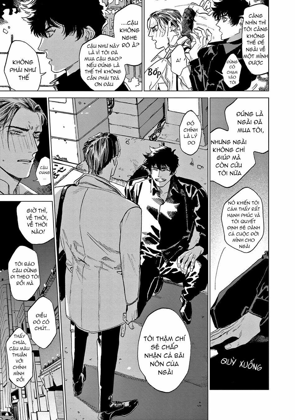 Đấu Giá Hikari Tokyo 1 trang 17