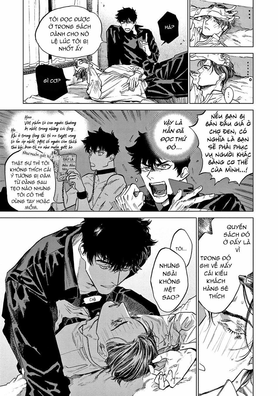 Đấu Giá Hikari Tokyo 1 trang 19