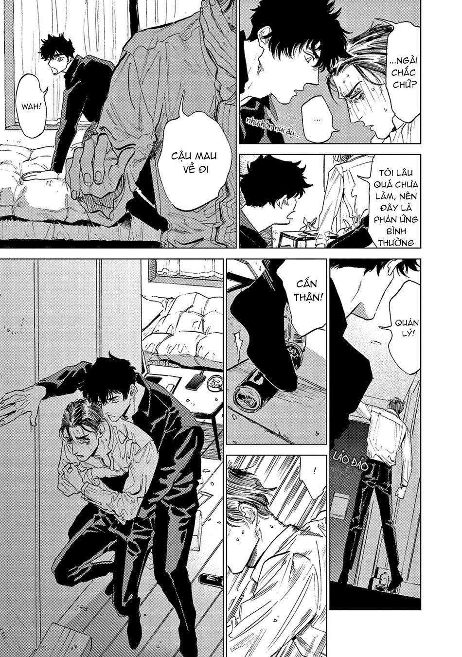 Đấu Giá Hikari Tokyo 1 trang 21