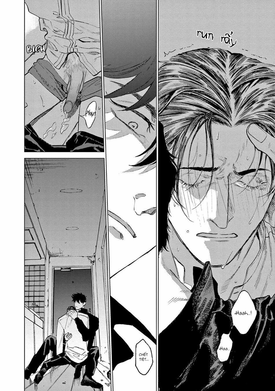 Đấu Giá Hikari Tokyo 1 trang 26