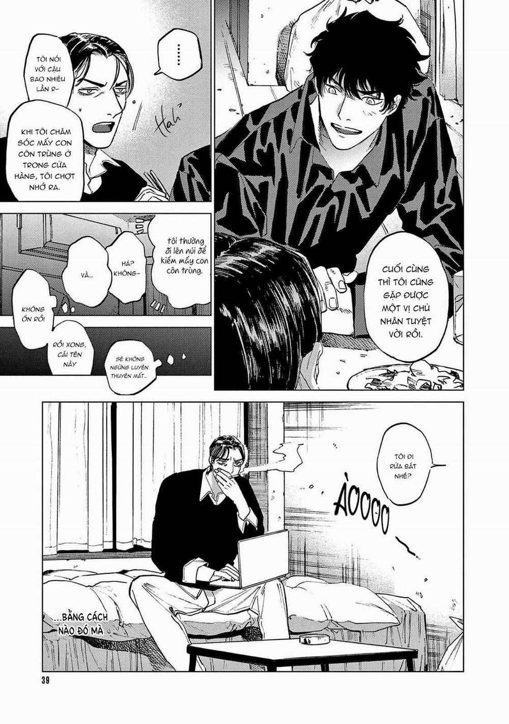 Đấu Giá Hikari Tokyo 2 trang 12