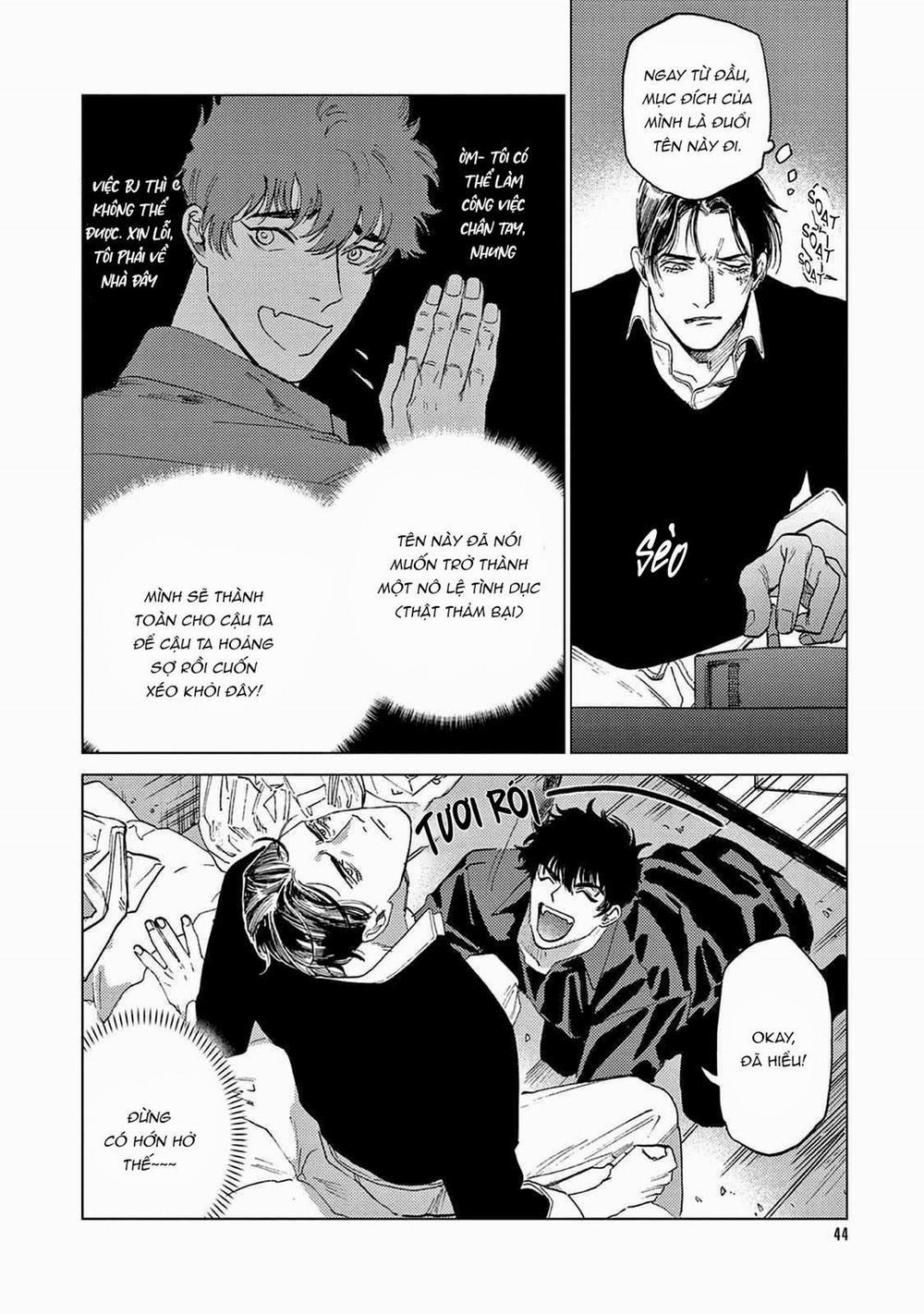 Đấu Giá Hikari Tokyo 2 trang 17