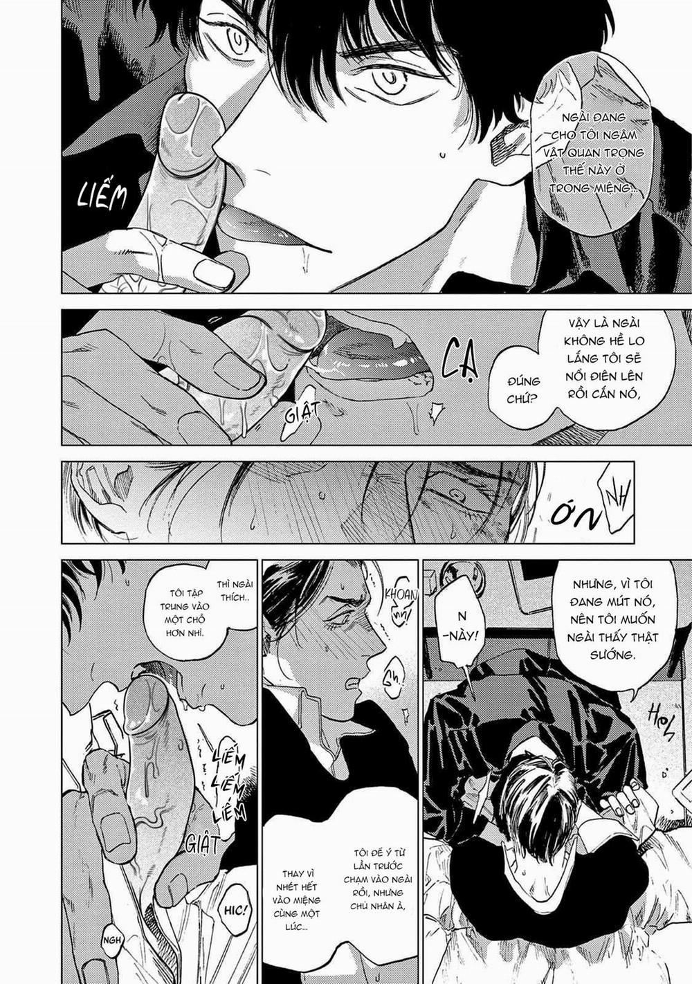 Đấu Giá Hikari Tokyo 2 trang 21