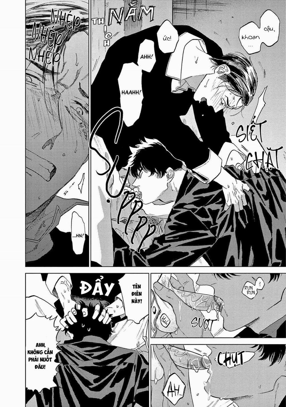 Đấu Giá Hikari Tokyo 2 trang 23