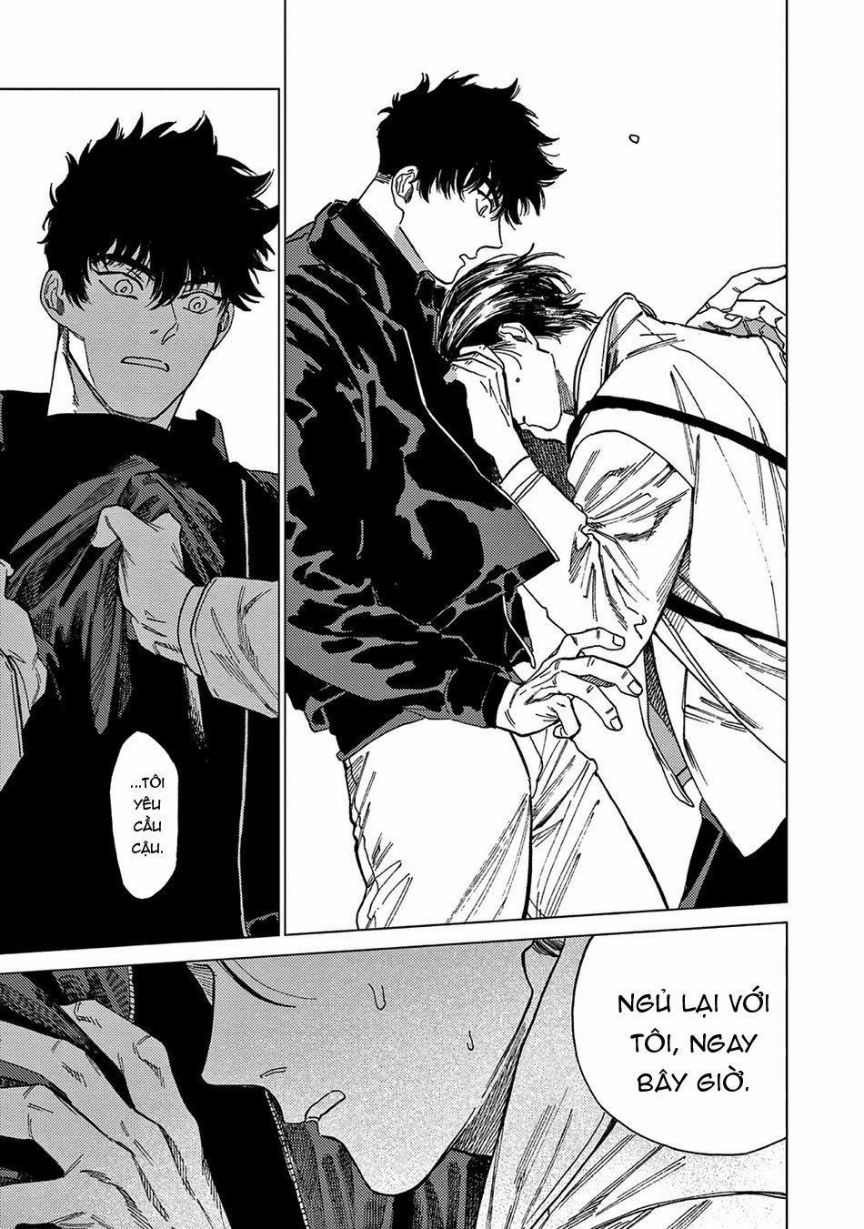 Đấu Giá Hikari Tokyo 3 trang 14