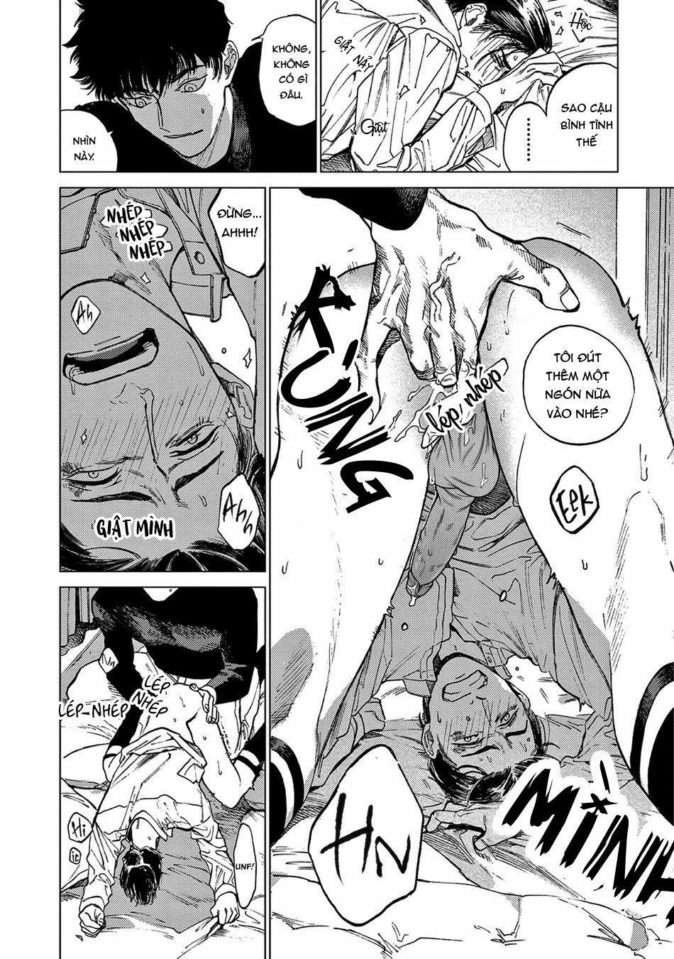 Đấu Giá Hikari Tokyo 3 trang 17