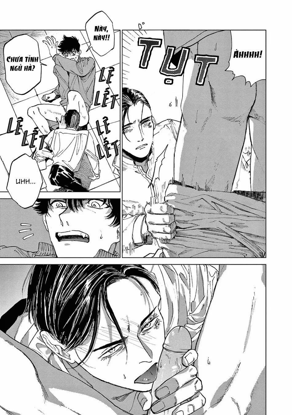 Đấu Giá Hikari Tokyo 4 trang 16