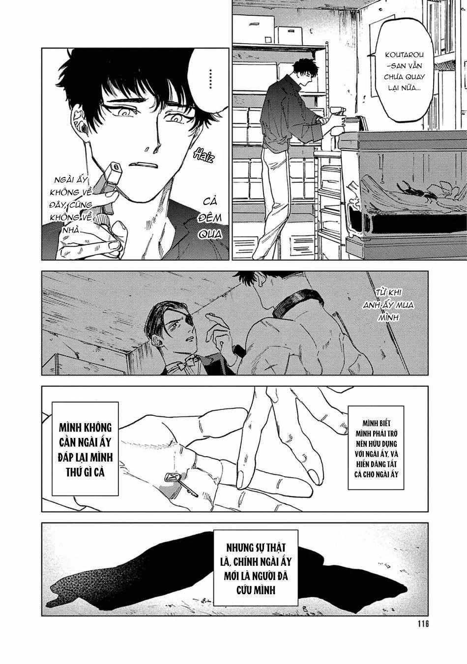 Đấu Giá Hikari Tokyo 5 trang 15