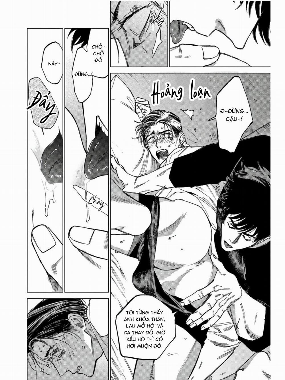 Đấu Giá Hikari Tokyo 6 END trang 21