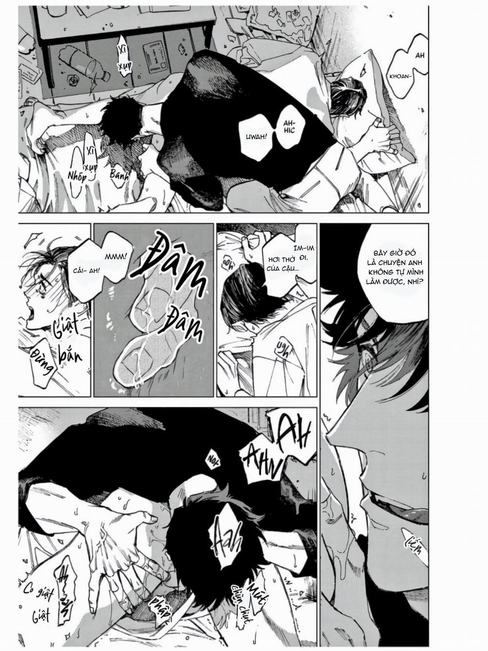 Đấu Giá Hikari Tokyo 6 trang 22