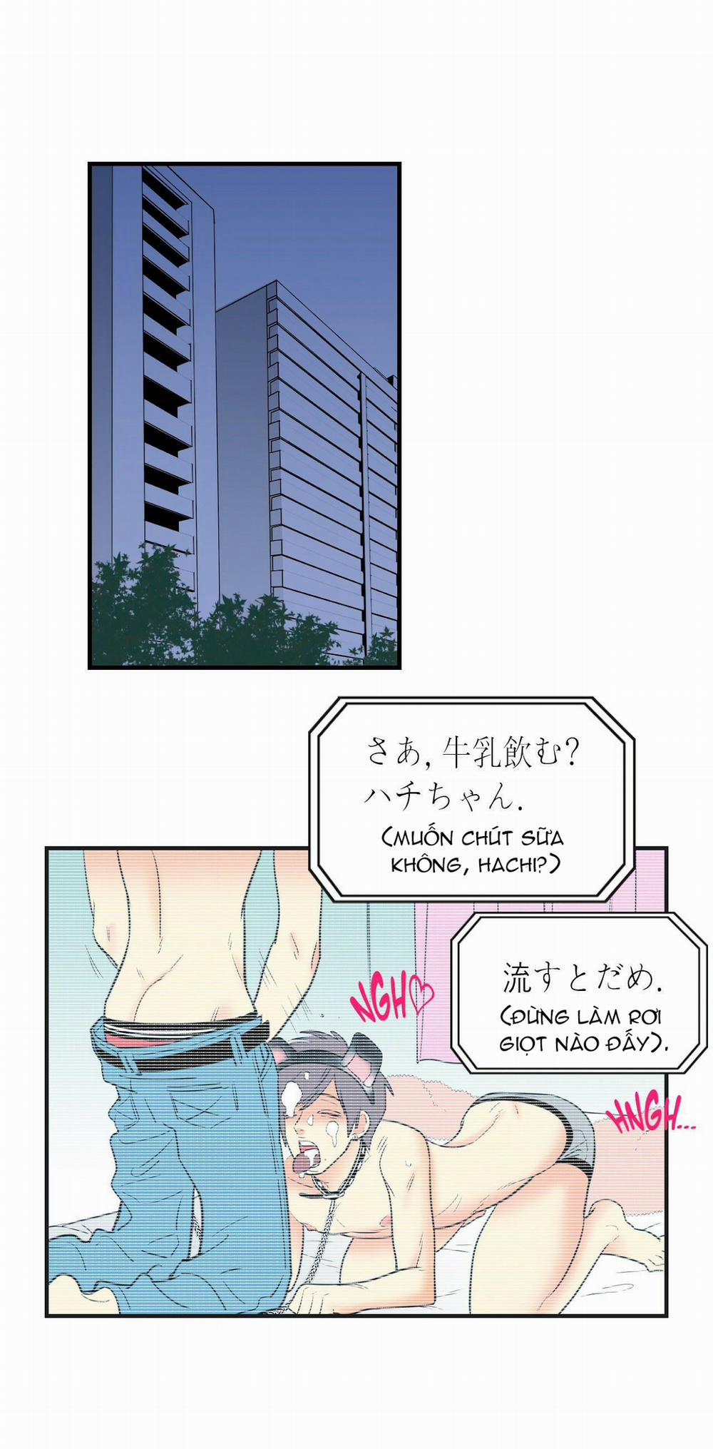 Dấu Hôn 10 trang 0