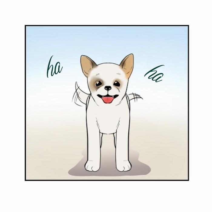 Dấu Hôn 11 trang 0