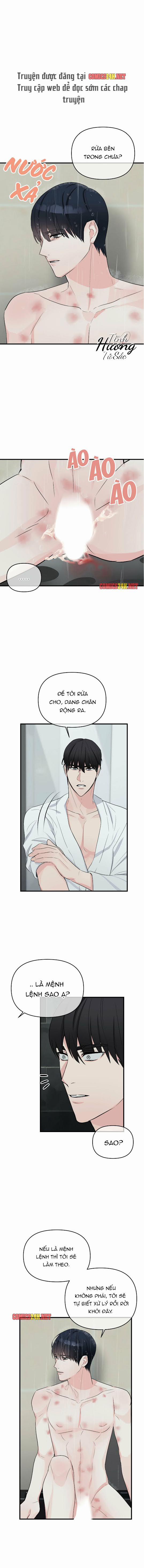 Dấu Vết Không Mùi 20 trang 0