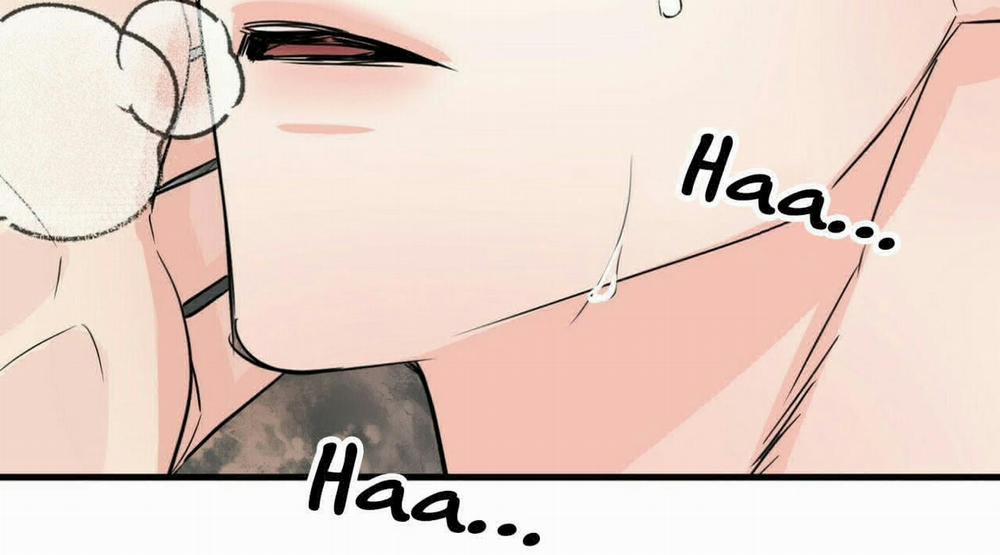 Dấu Vết Không Mùi 29 trang 19