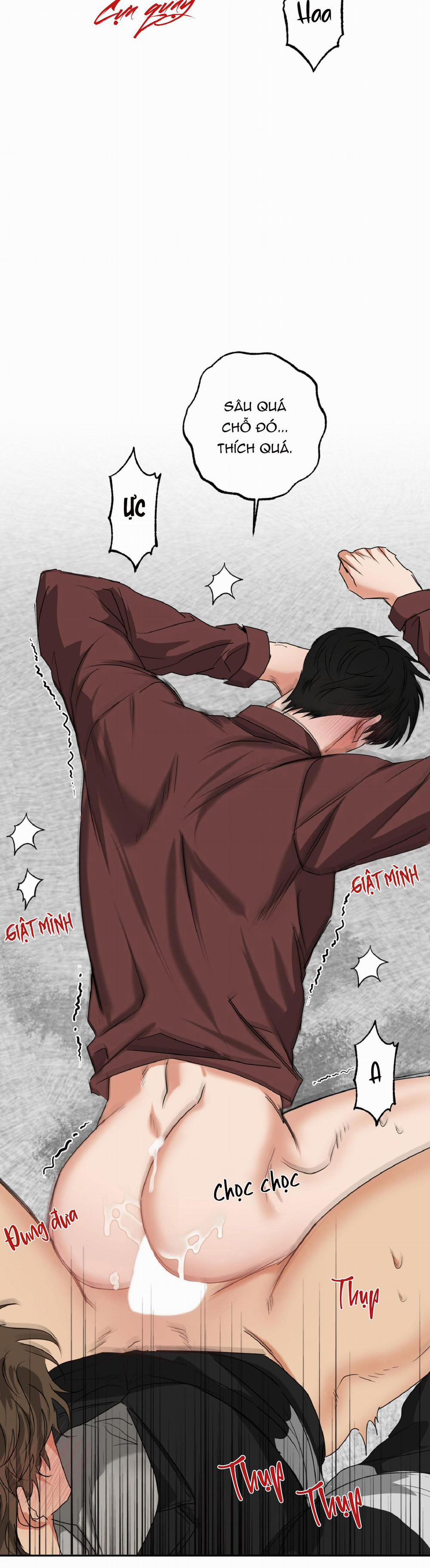 Dạy Chịch 13 trang 13