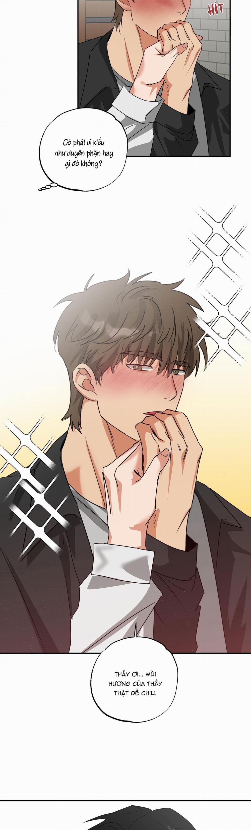 Dạy Chịch 17 trang 26