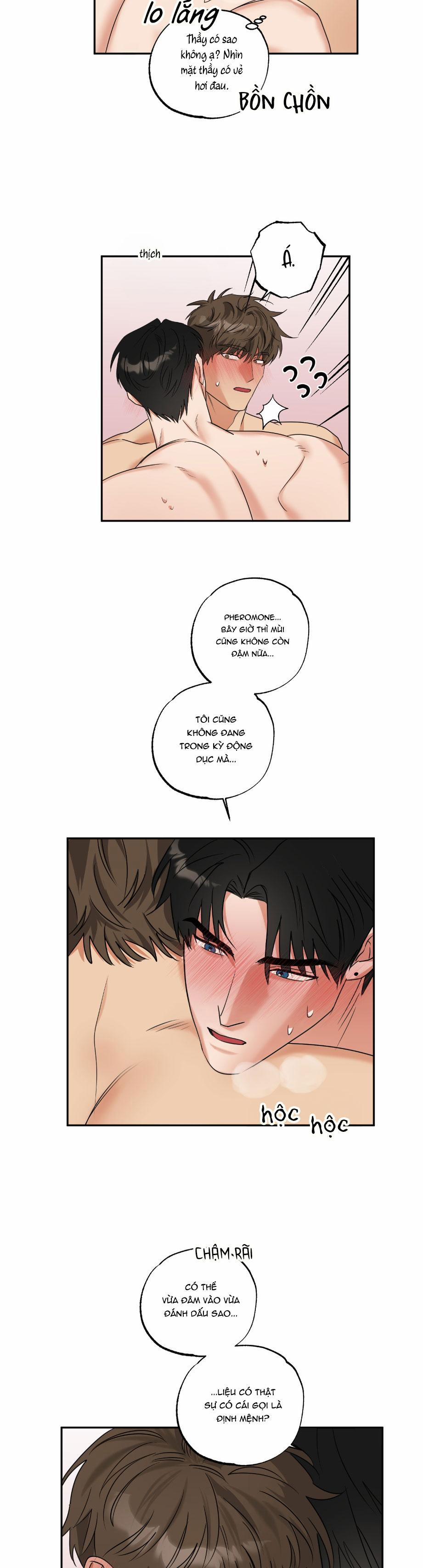 Dạy Chịch 24 0 trang 17