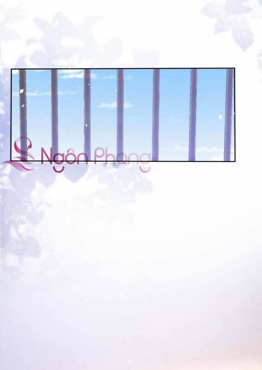 Dây Dưa Không Dứt 17 trang 15