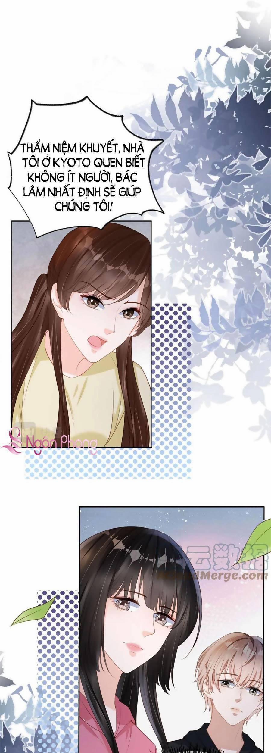 Dây Dưa Không Dứt 33 trang 1