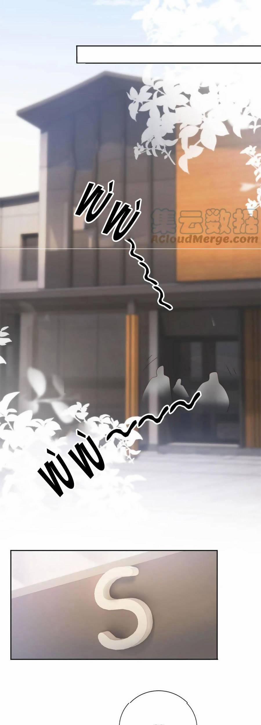 Dây Dưa Không Dứt 33 trang 11