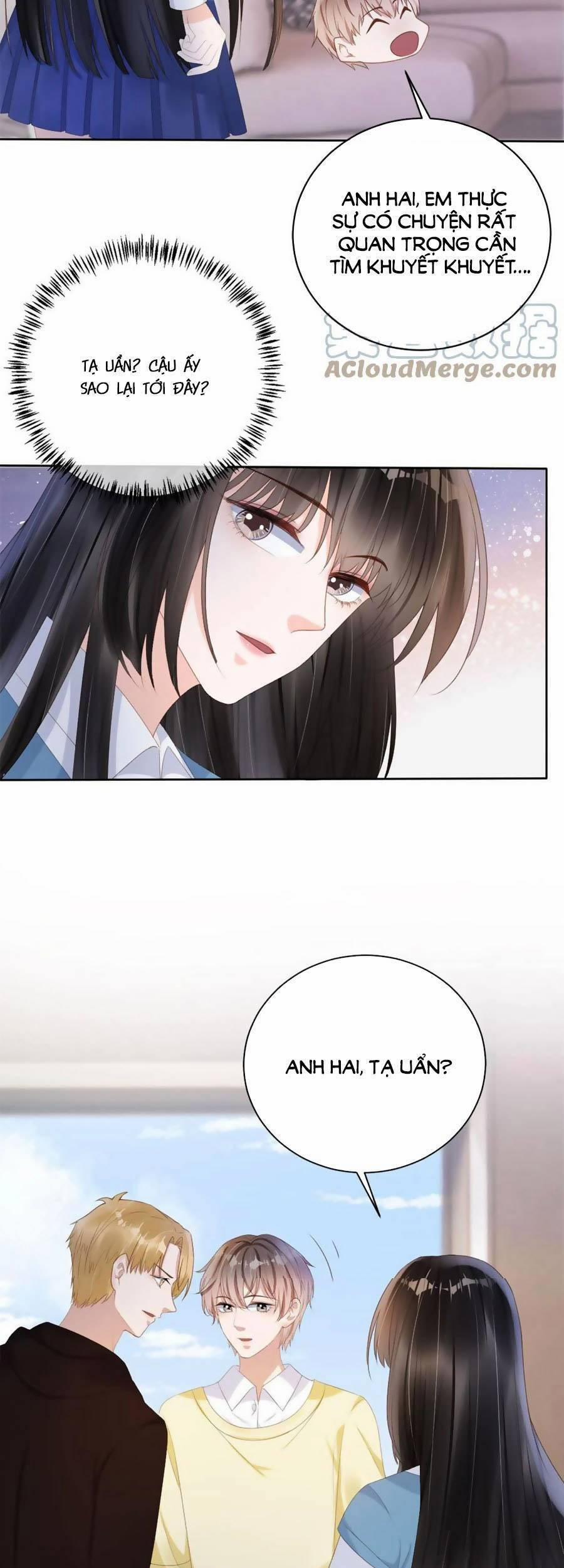 Dây Dưa Không Dứt 40 trang 5