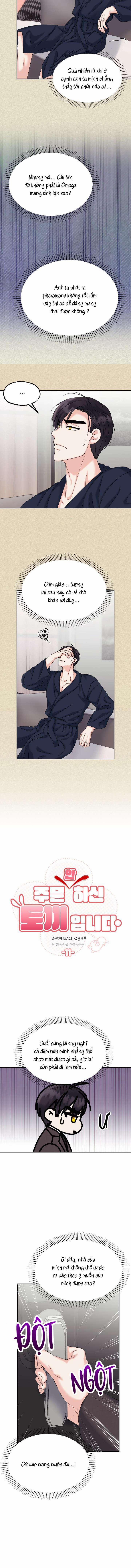 Đây Là Chú Thỏ Mà Bạn (Không) Đã Đặt Hàng 11 trang 2