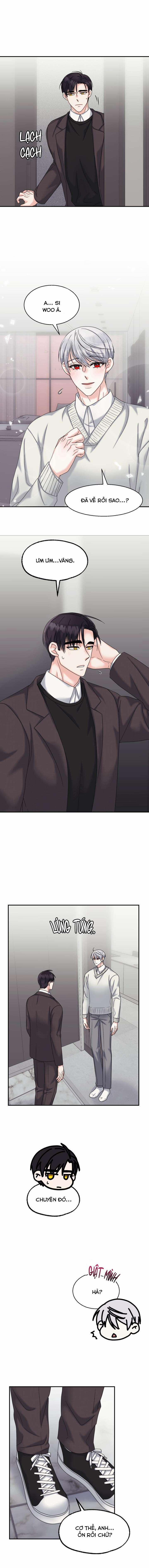 Đây Là Chú Thỏ Mà Bạn (Không) Đã Đặt Hàng 11 trang 3