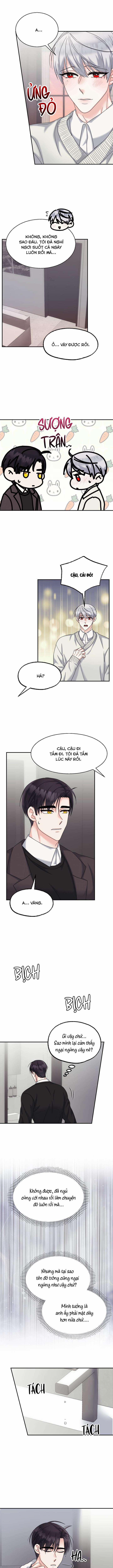 Đây Là Chú Thỏ Mà Bạn (Không) Đã Đặt Hàng 11 trang 4