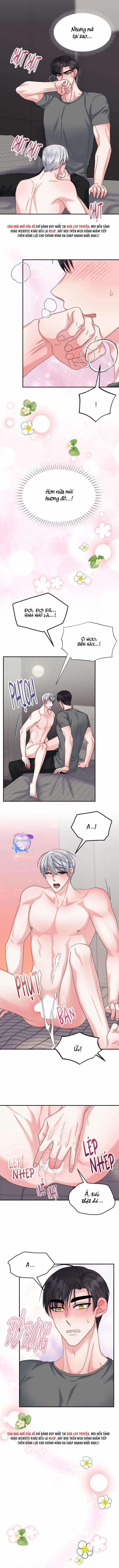 Đây Là Chú Thỏ Mà Bạn (Không) Đã Đặt Hàng 12 trang 7