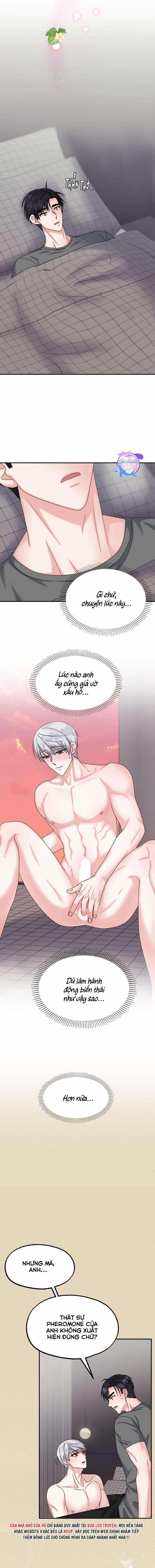 Đây Là Chú Thỏ Mà Bạn (Không) Đã Đặt Hàng 12 trang 8