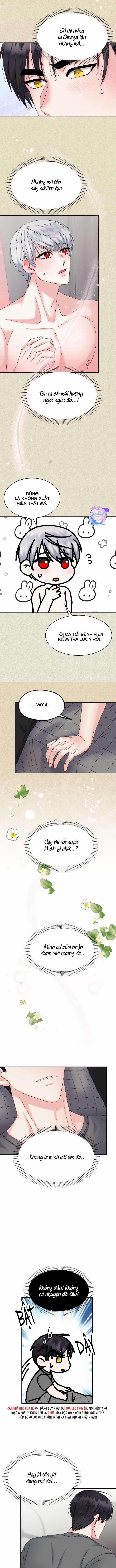 Đây Là Chú Thỏ Mà Bạn (Không) Đã Đặt Hàng 12 trang 9