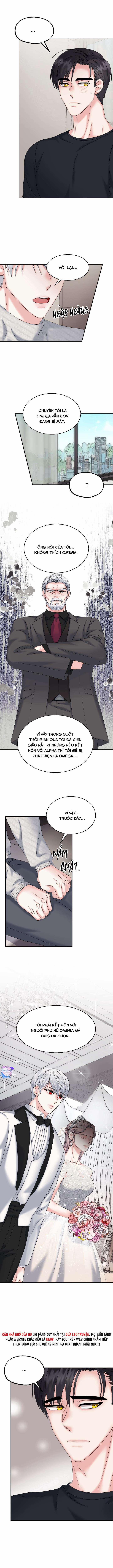 Đây Là Chú Thỏ Mà Bạn (Không) Đã Đặt Hàng 13 trang 7