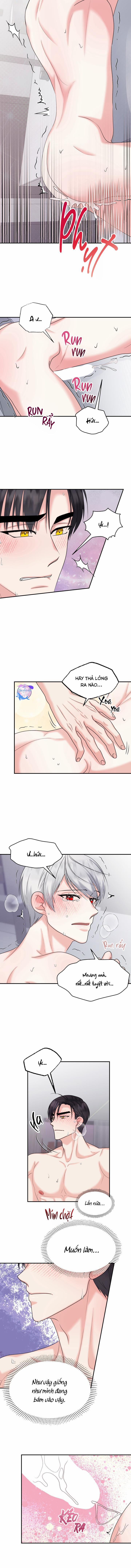 Đây Là Chú Thỏ Mà Bạn (Không) Đã Đặt Hàng 15 trang 4