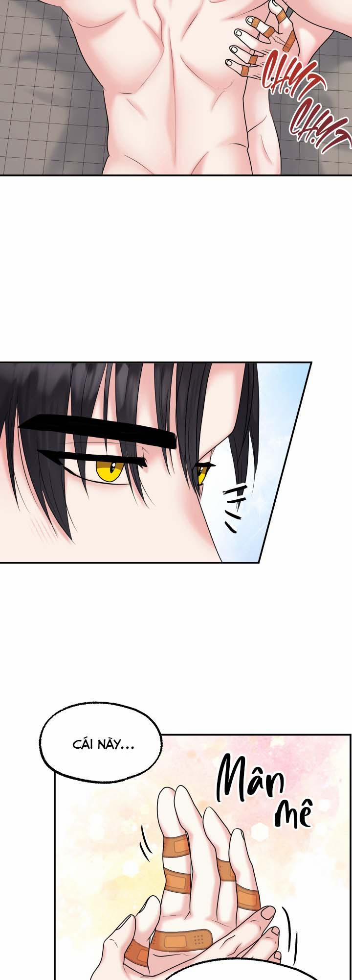 Đây Là Chú Thỏ Mà Bạn (Không) Đã Đặt Hàng 16 trang 27