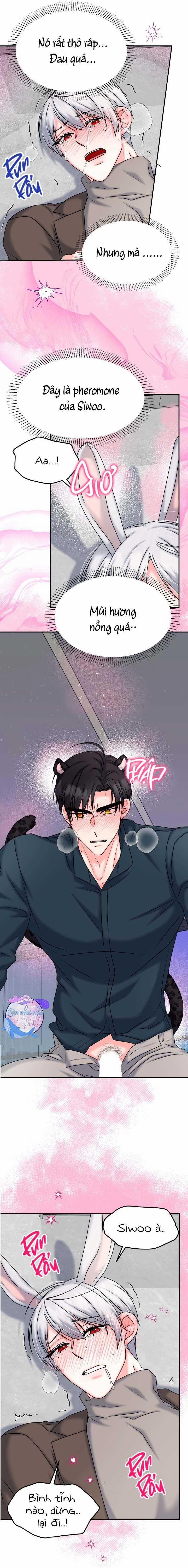 Đây Là Chú Thỏ Mà Bạn (Không) Đã Đặt Hàng 20 trang 7