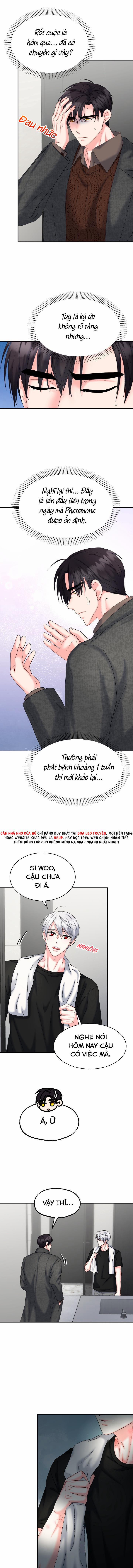 Đây Là Chú Thỏ Mà Bạn (Không) Đã Đặt Hàng 21 trang 2