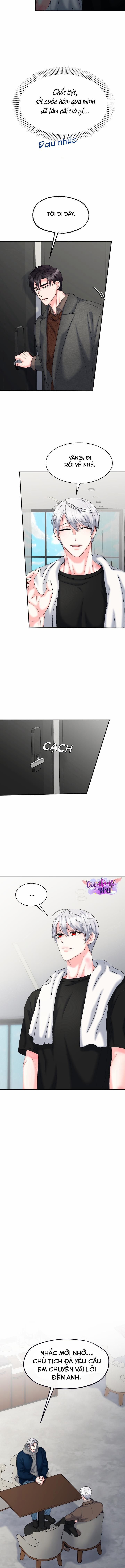 Đây Là Chú Thỏ Mà Bạn (Không) Đã Đặt Hàng 21 trang 3