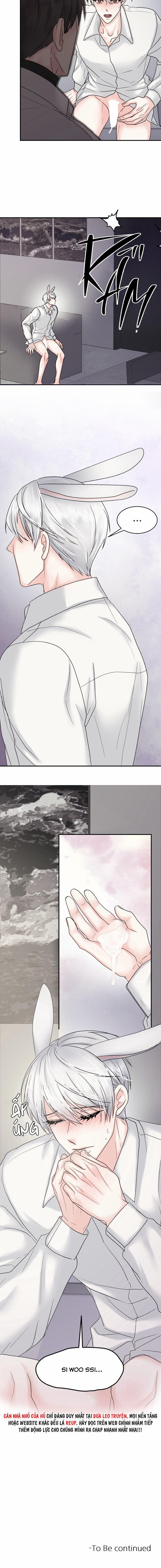 Đây Là Chú Thỏ Mà Bạn (Không) Đã Đặt Hàng 3 trang 7