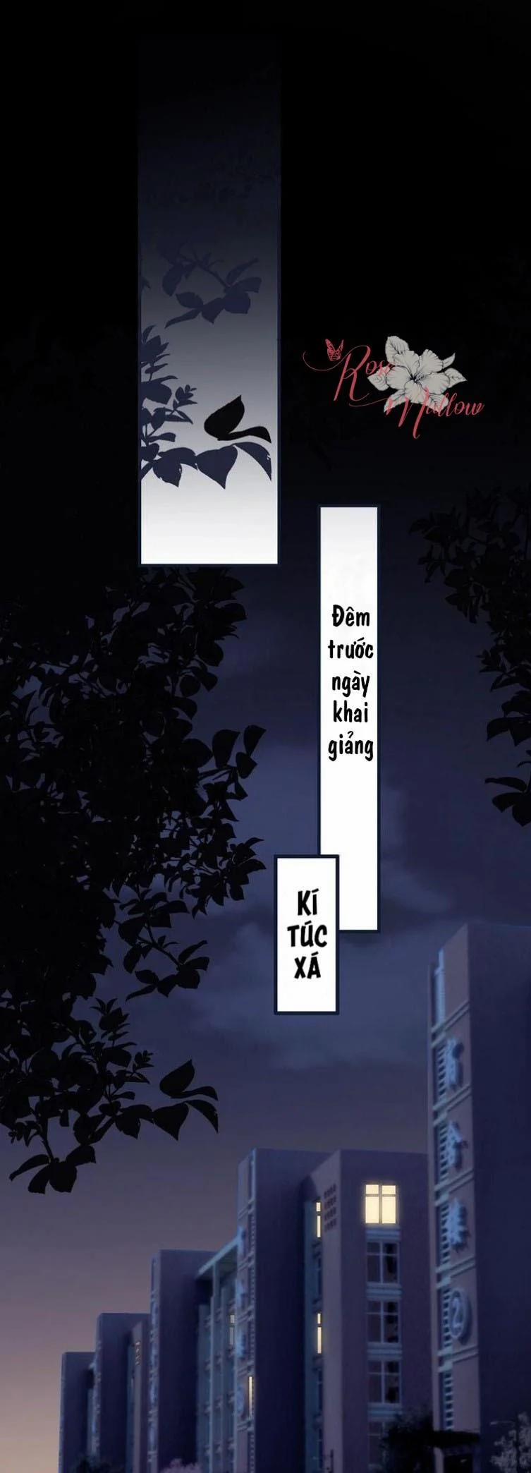 Đề Này Vượt Quá Sức Rồi 1 trang 5