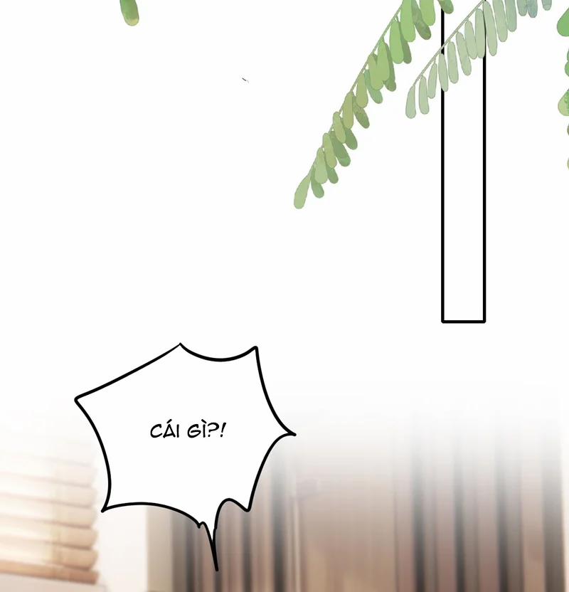 Đế Tâm 62 trang 62