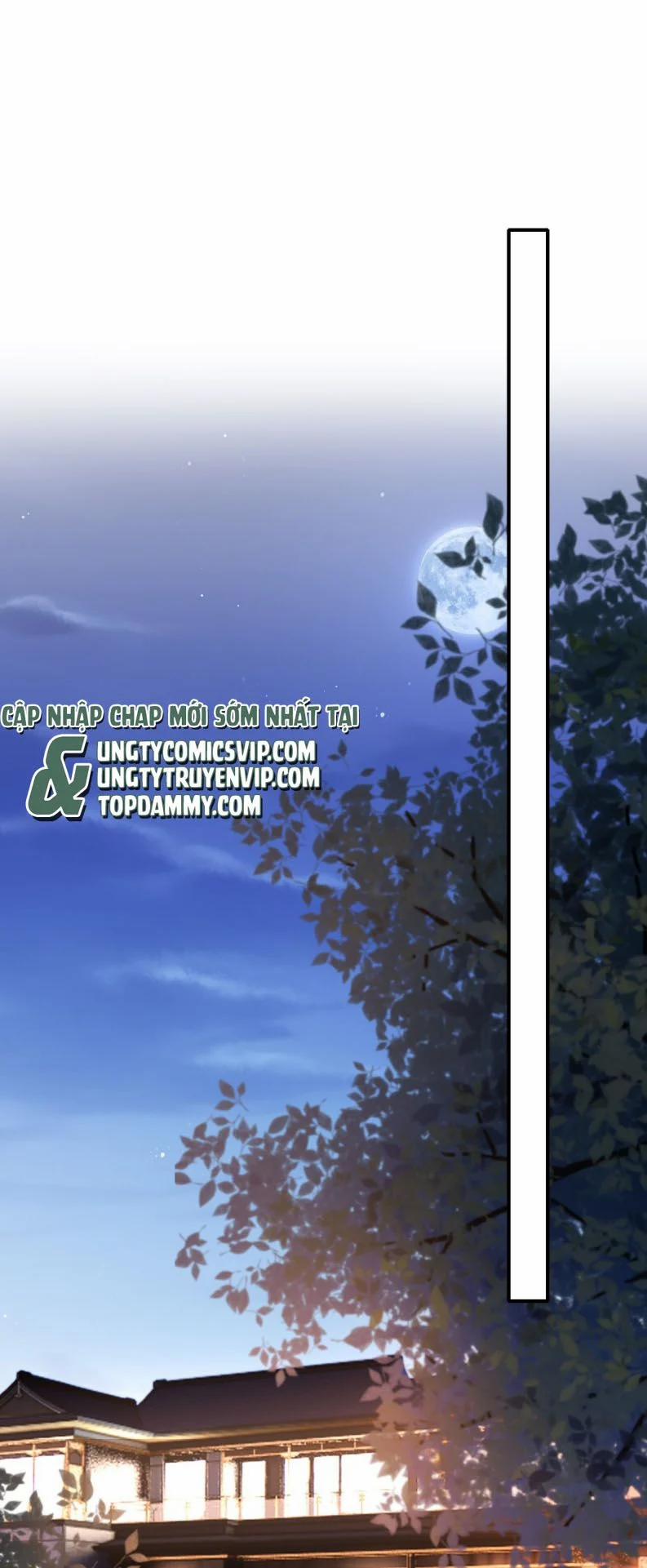 Đế Tâm 65 trang 28