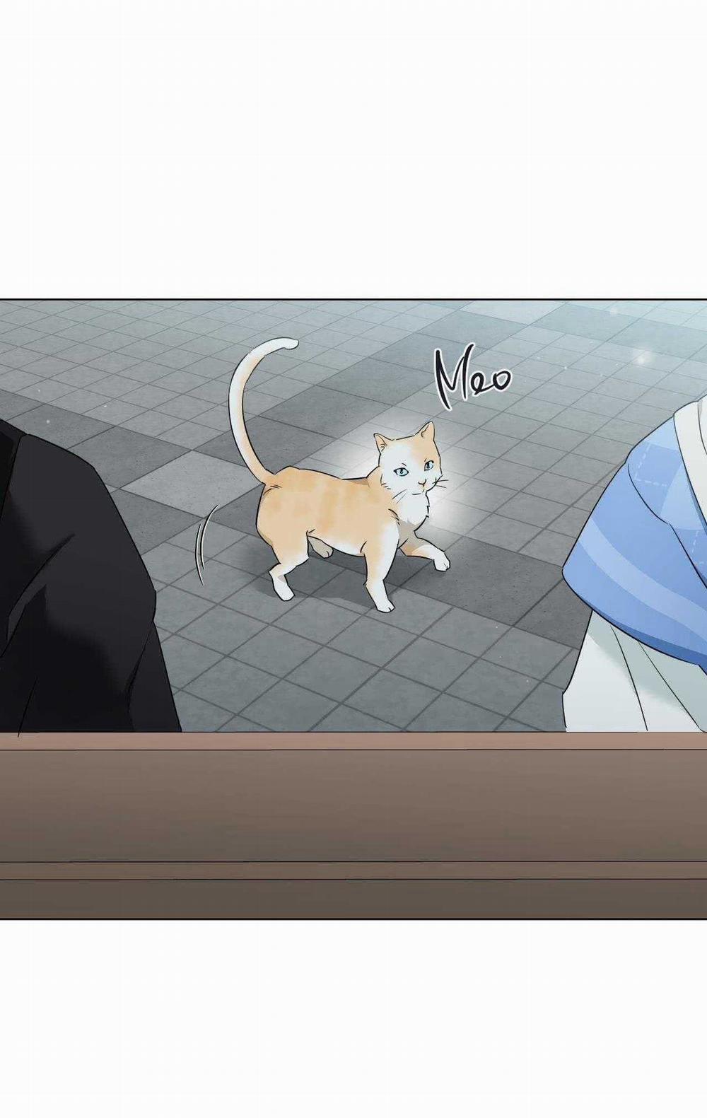 Dễ Thương Là Lỗi Của Tôi Sao? 45 trang 29