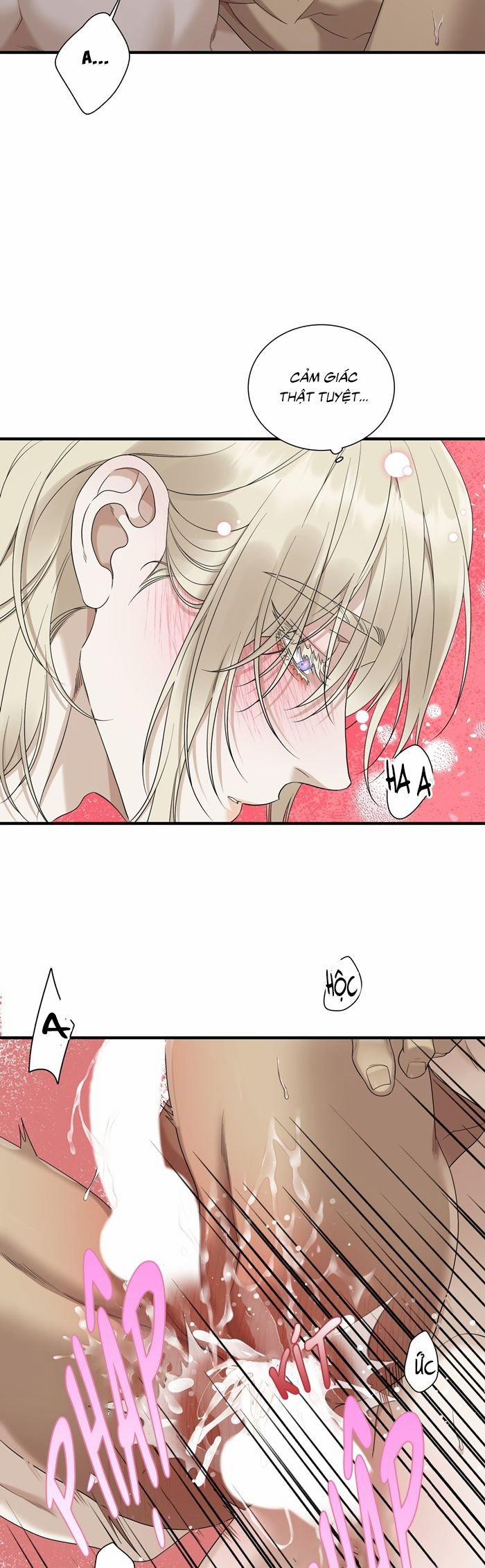 Dear. 00 26 trang 31