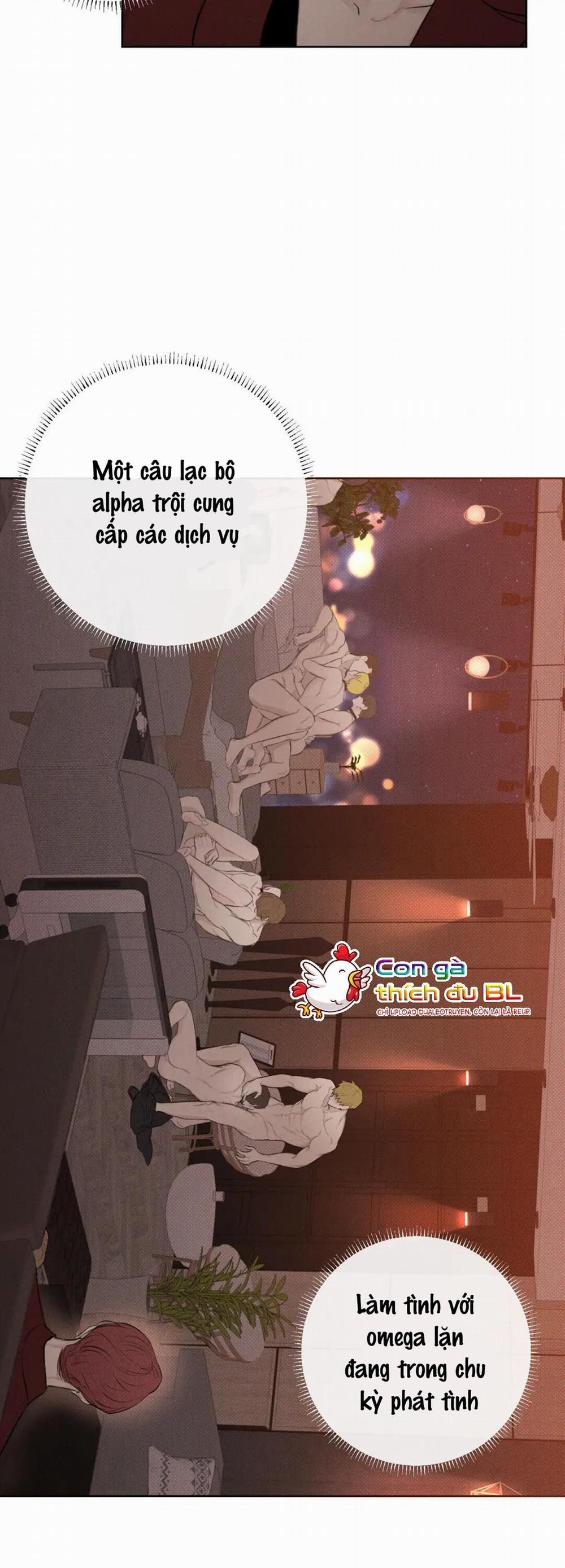 December 16 trang 19