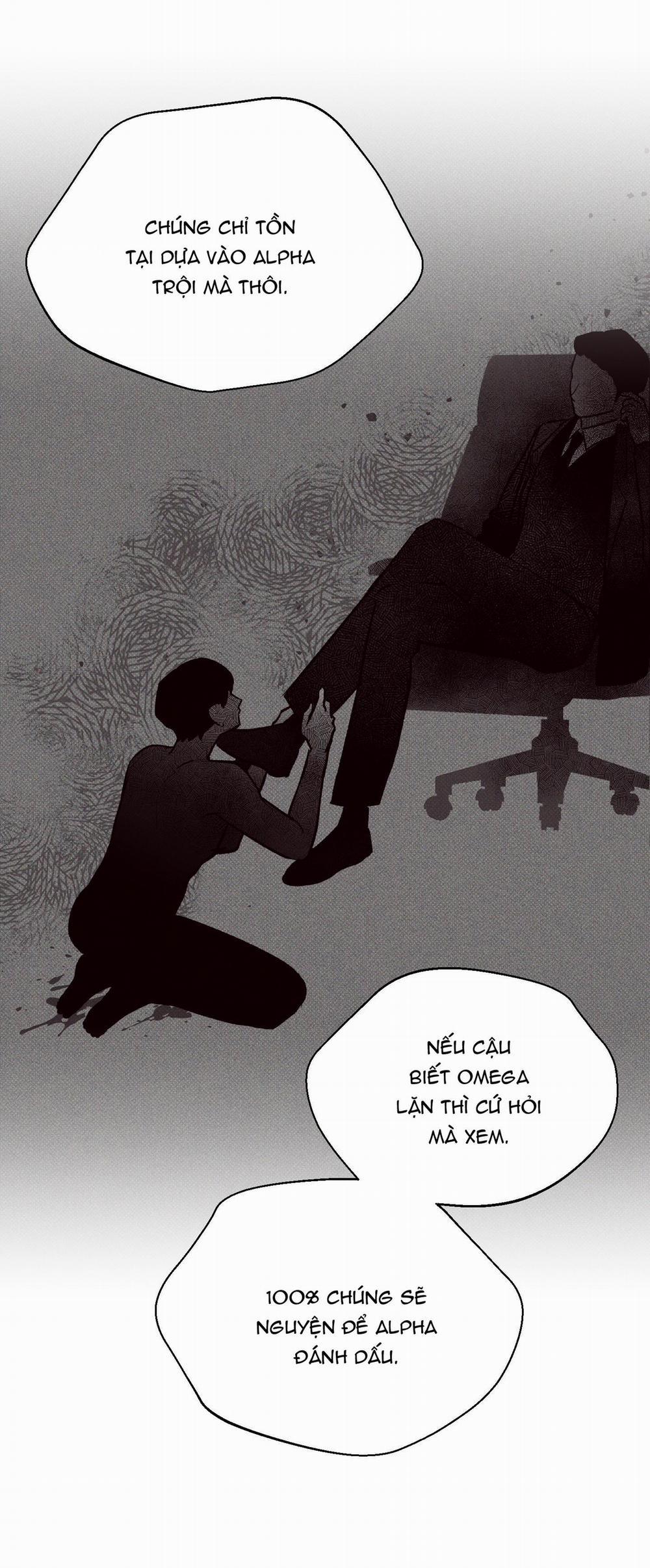 December 25 trang 11